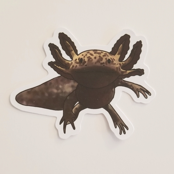 10/$10 Axolotl Sticker - Picture 1 of 1